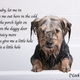 Image for article titled Robin Thicke's Paula Lyrics Are as Pathetic as a Soaking Wet Animal